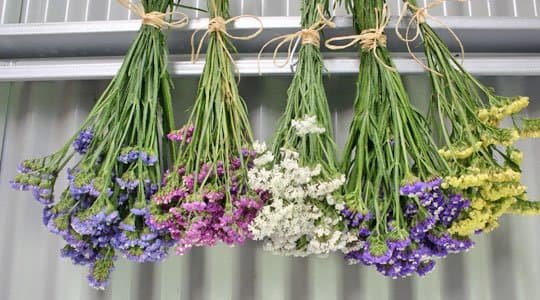 Blumen trocknen leicht gemacht: Die besten Techniken für wunderschöne Trockenblumen
