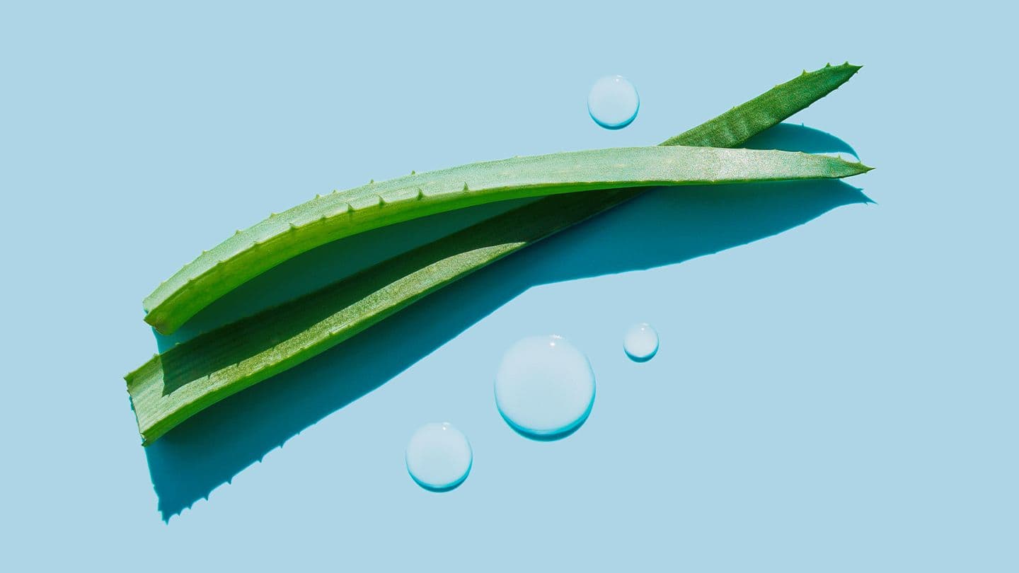 Warum Unabhängige Distributoren von Forever Living Products die Aloe Propolis Creme lieben