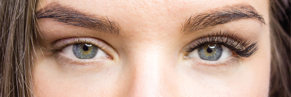 Entdecken Sie bei LashLink hochwertige Materialien für Wimpernverlängerungen mit Zola Lamination