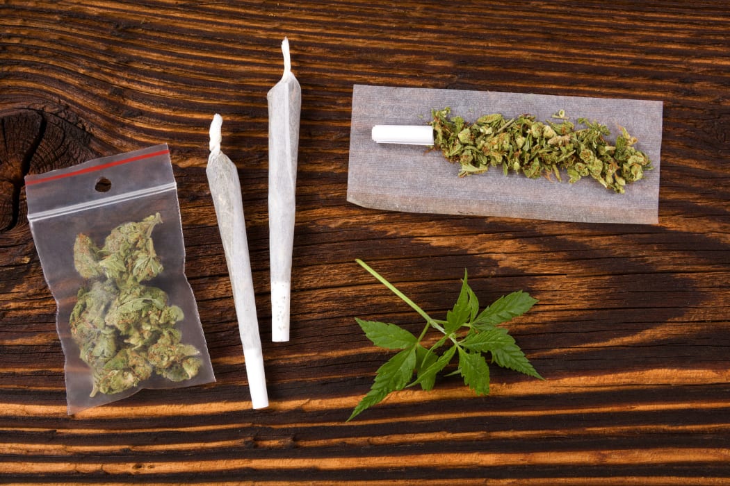 Welcher Strain passt zu dir? – Cannabissamen kaufen legal in Deutschland